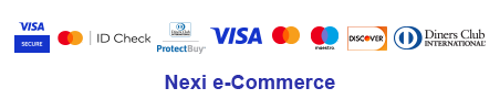 nexi payment processor